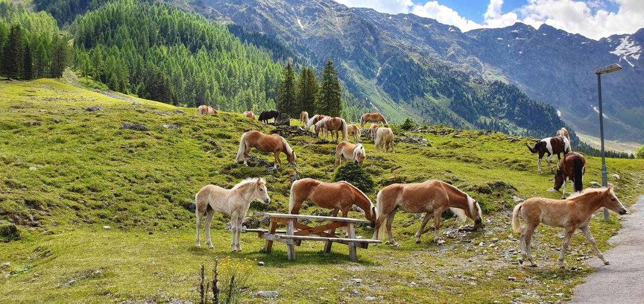 Gaestehaus Landhaus Tyrol Gries im Sellrain Buitenkant foto