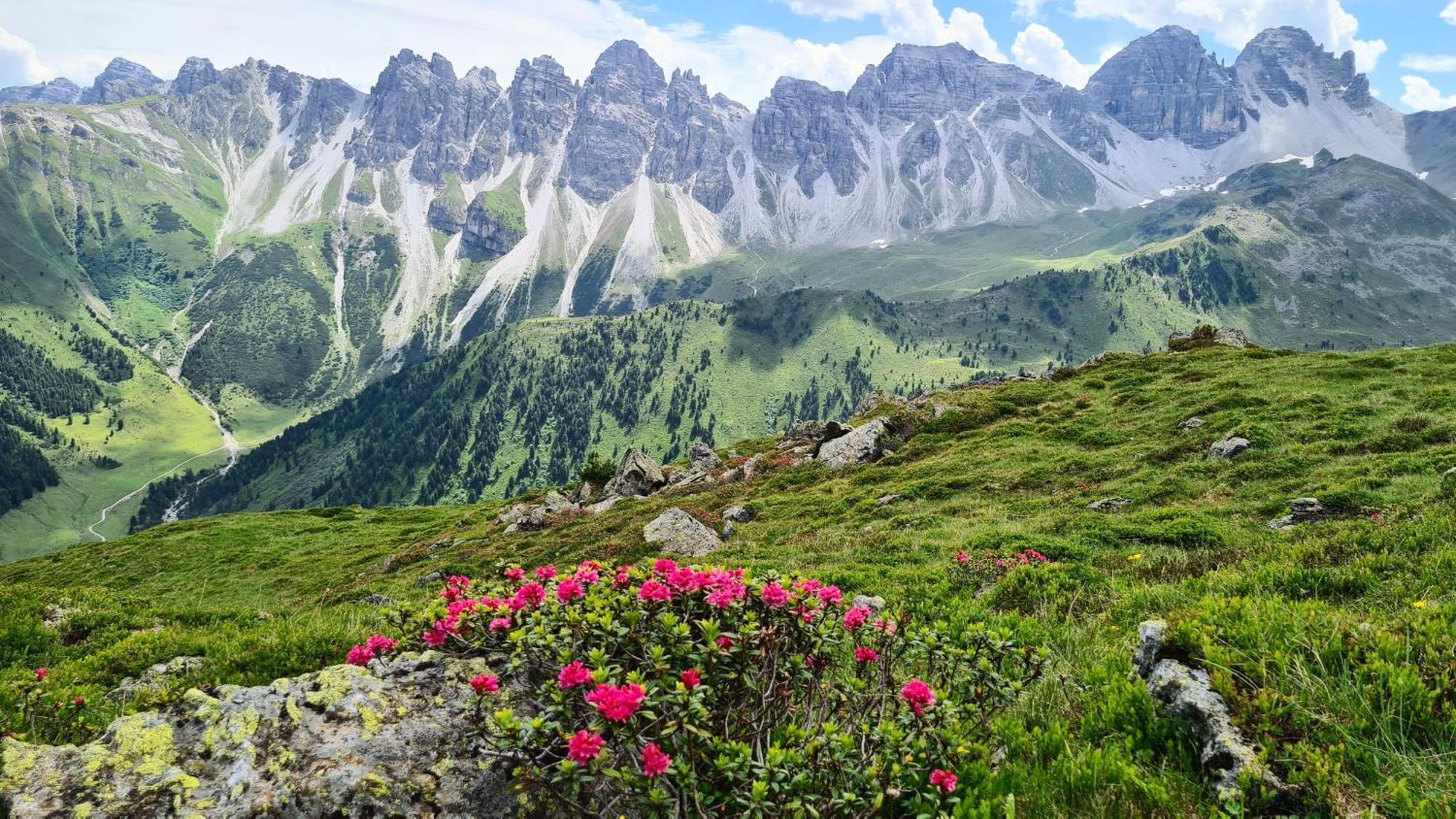 Gaestehaus Landhaus Tyrol Gries im Sellrain Buitenkant foto