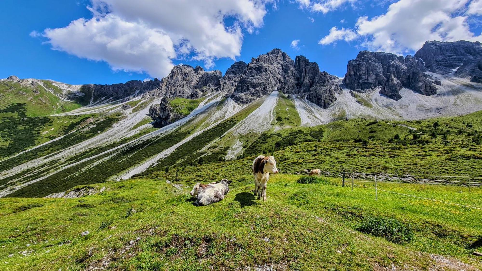 Gaestehaus Landhaus Tyrol Gries im Sellrain Buitenkant foto