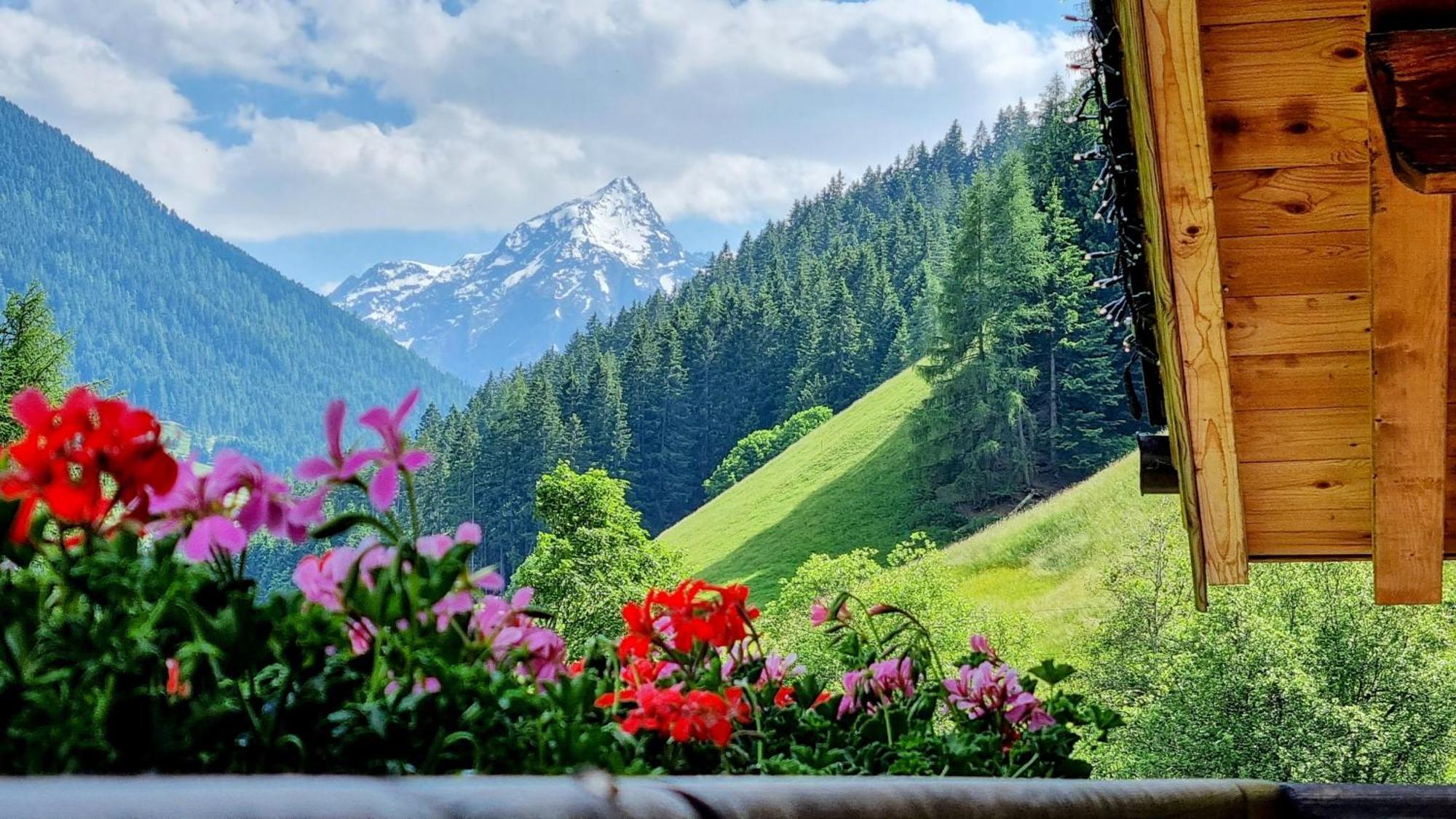 Gaestehaus Landhaus Tyrol Gries im Sellrain Buitenkant foto